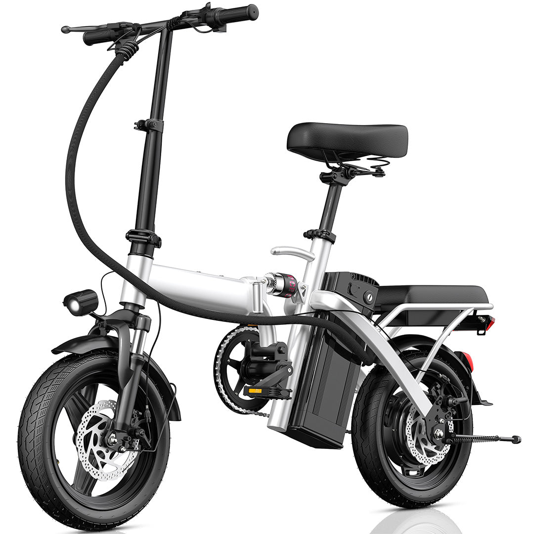 Terrosor T1